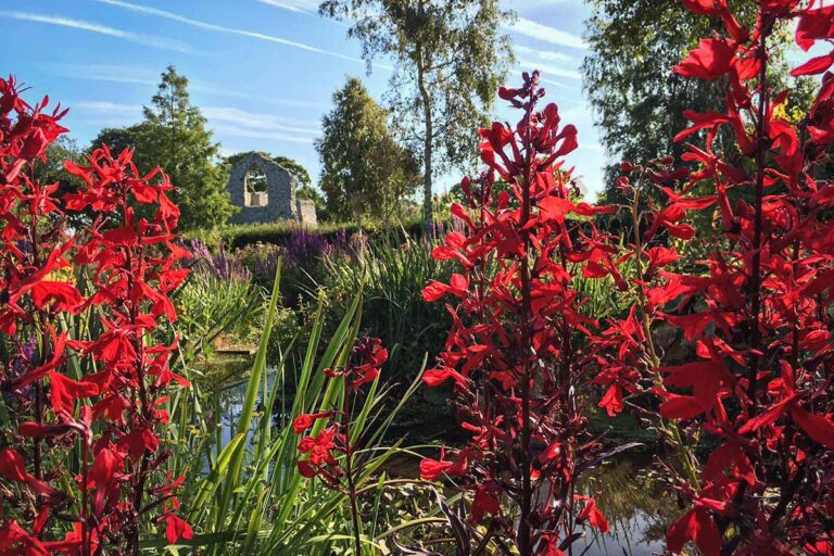 Priory Maze Meadow Stream Garden