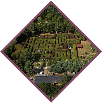 Priory Maze from above